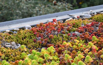 the cost of Newton Harcourt green roof installation