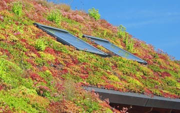 Newton Harcourt living roof systems
